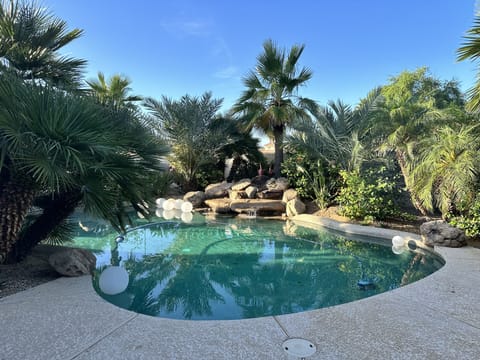 Tropical Pool with Stone Fountain 