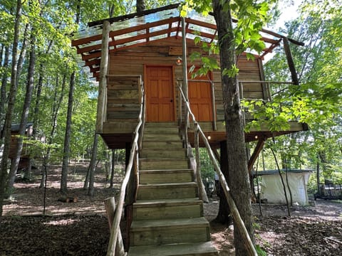 2 room treehouse shower