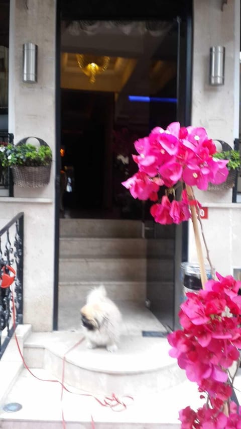 Property entrance
