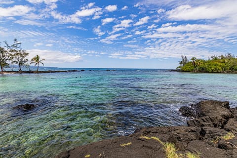 Hale Honu Condo at Carlsmith Beach Park! - Carlsmith Beach Park (aka 4 Mile Beach) is just behind Maunaloa Shores