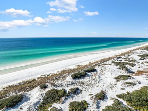 Inlet Beach