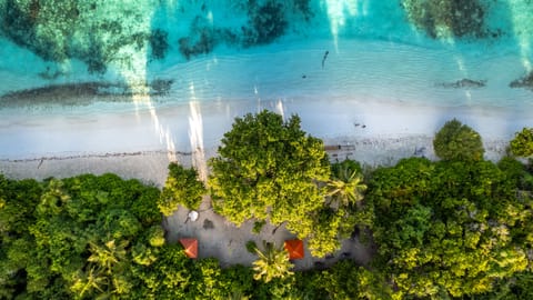 On the beach, white sand, scuba diving, snorkeling