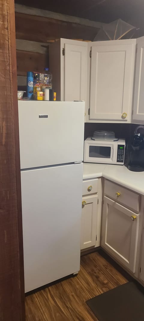 Fridge has plenty of space, but bring  your own ice.