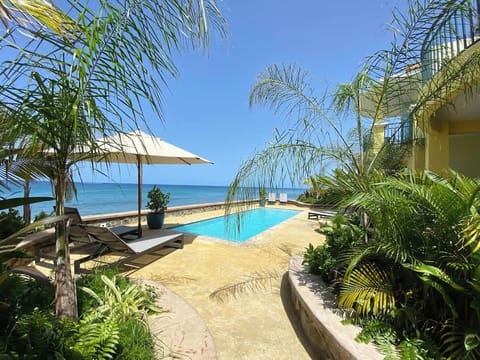 Pool area viewed from surrounding gardens. 