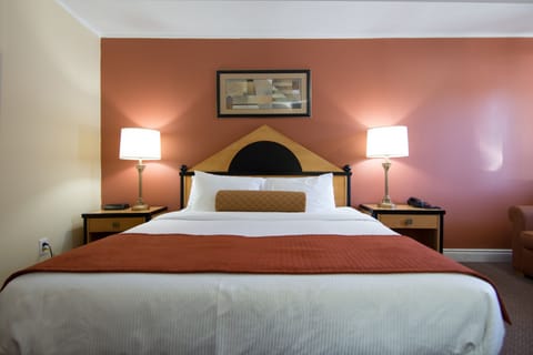 Room, 1 King Bed and Sofa Bed | Desk, WiFi (free)