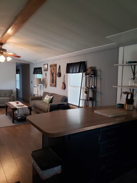 Living room/breakfast bar area
