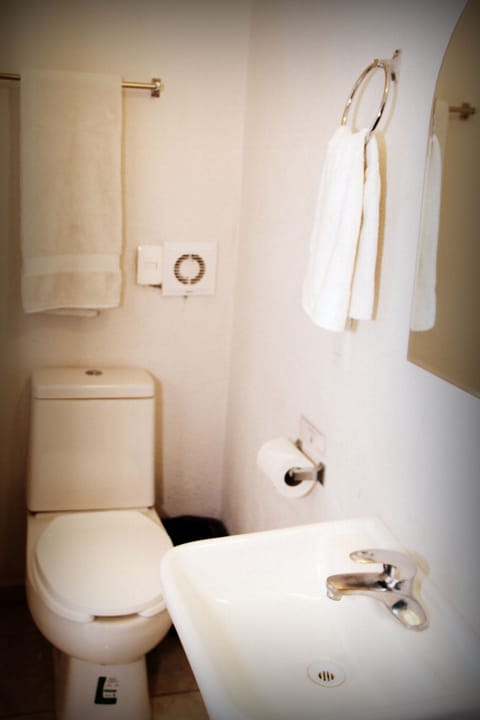 Junior Double Room | Bathroom | Shower, free toiletries, towels