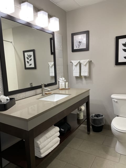 Combined shower/tub, free toiletries, hair dryer, towels