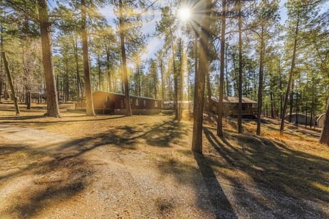 Horseshoe Canyon — your cozy cabin retreat tucked beneath Ruidoso’s tall pines.