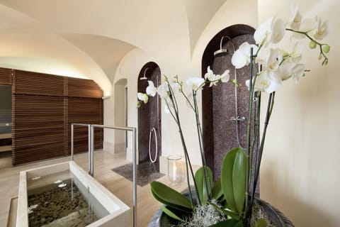 Sauna, steam room, hot springs, aromatherapy, sports massages