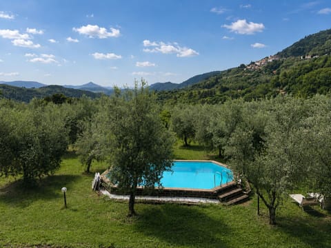 Autumn, Pool, Spring, Summer