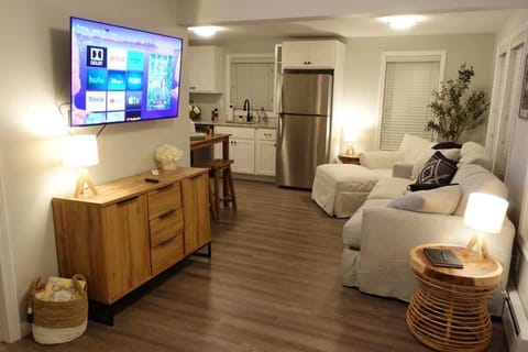 Living Room and Kitchen Area