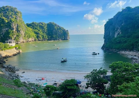 Beach nearby, beach shuttle, sun loungers