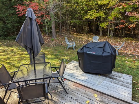 Back Yard Grill, Table, Chairs, Sun Umbrella and Fire pit