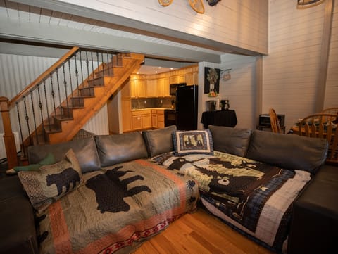 Fold out couch accommodates 2 adults or multiple kids. 