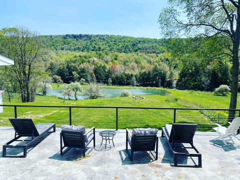 View from the Huge stamped concrete patio. 