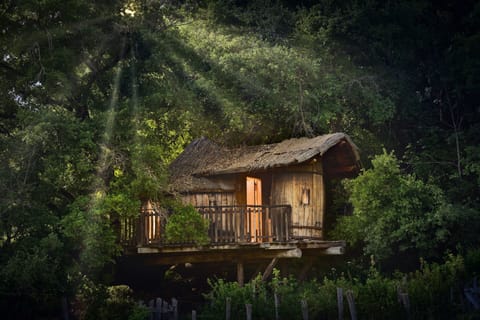 Family Tree House, Ensuite, Mountain View | Exterior