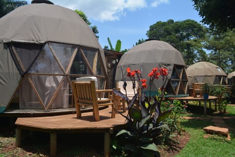 Comfort Tent | Terrace/patio