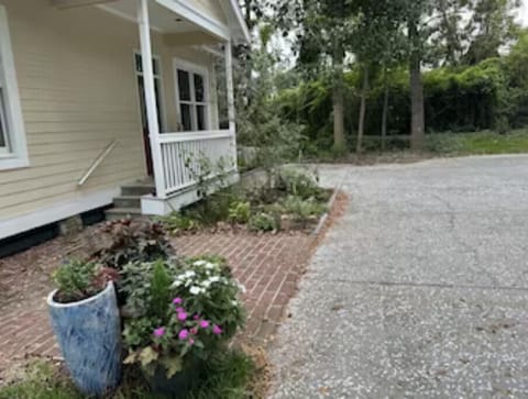Front steps with brick walkway and oyster shell driveway