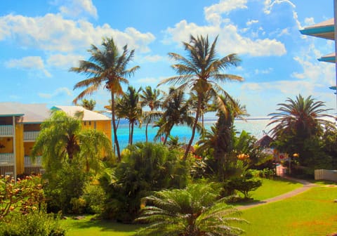 Your view from Seaside Serenity.