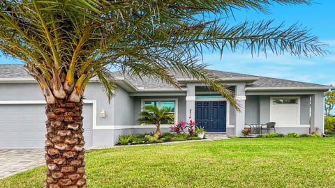 View under the palm tree through to the villa