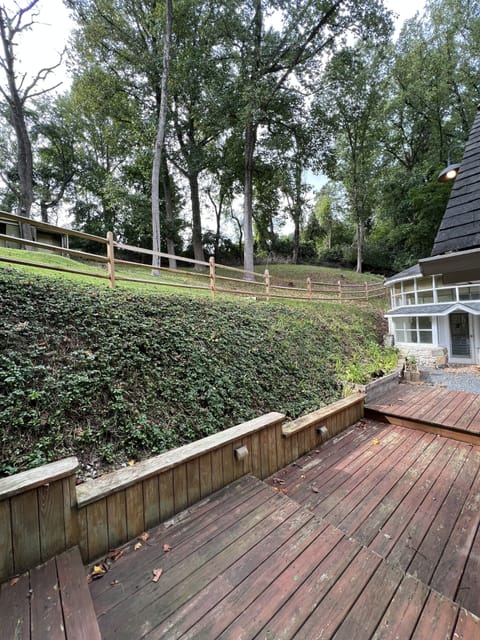 Back yard