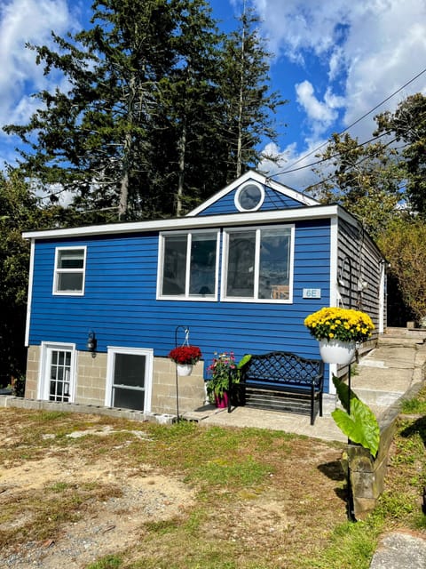 Blueberry exterior
