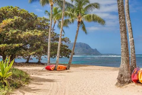 Puu Poa Beach at bottom of path