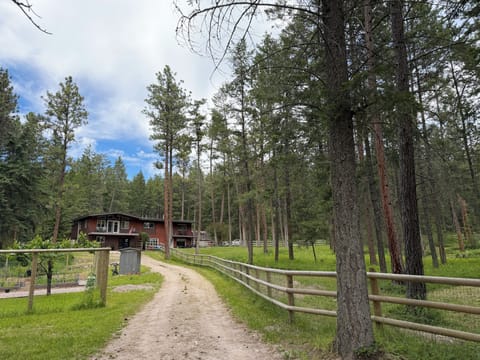 The driveway leading you to the entry