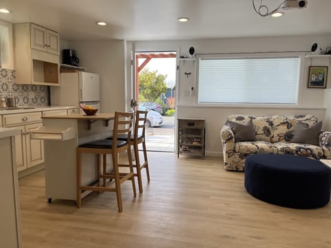 Kitchen & Bar Living Area