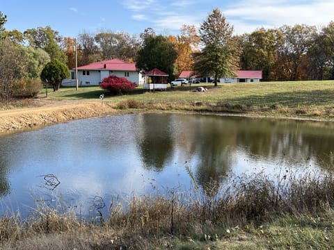 Pond View back towards gazebo  and house