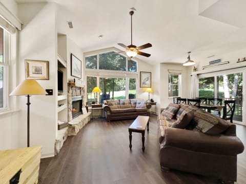 Living room with 2 queen fold out sofas