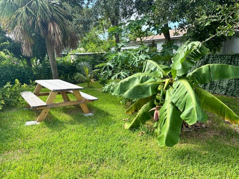 Backyard– Enjoy outdoor meals under tropical fruit trees.