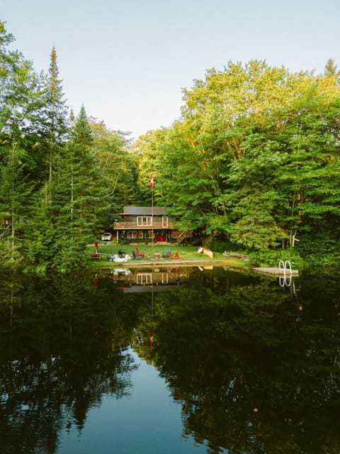 Magical cottage nestled between the trees!