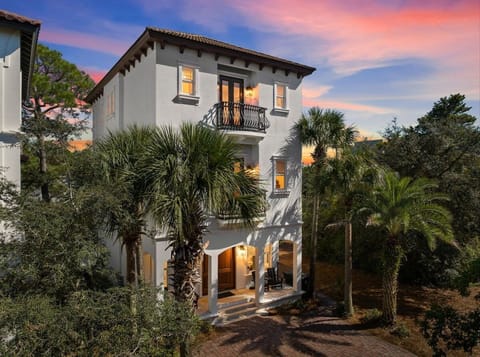 Sunset photo 76 Palmera