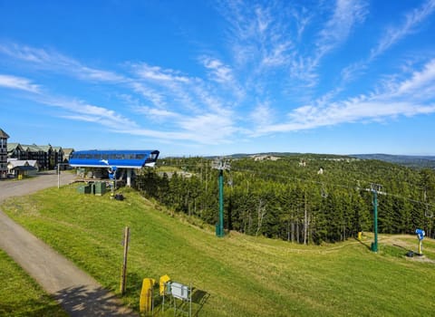 Take in stunning summer views right from your mountain retreat.