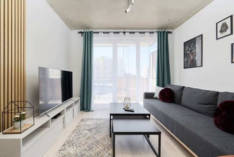 Living room with a comfortable sofa and TV. 