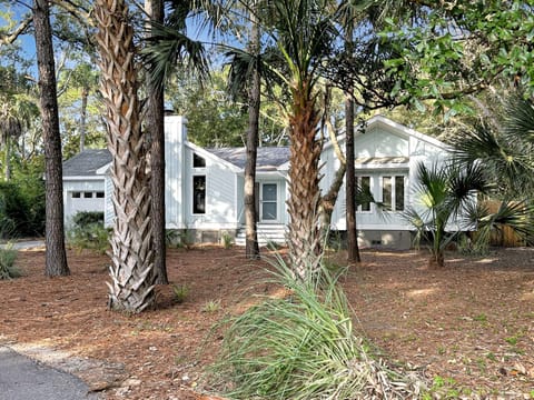 Welcome to The Lazy Lobster in Wild Dunes on Isle of Palms, South Carolina!