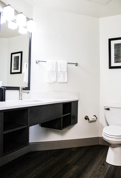 Combined shower/tub, free toiletries, hair dryer, towels