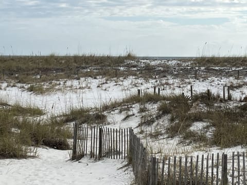 Rear beach view from back porch