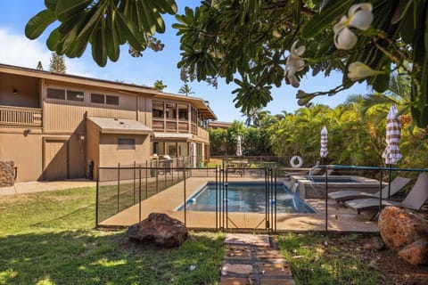 Lounge by the pool on comfortable sunbeds under swaying palms, perfect for soaking up the Hawaiian sun.