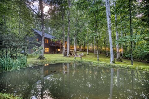 Welcome to Cozy Bear Retreat