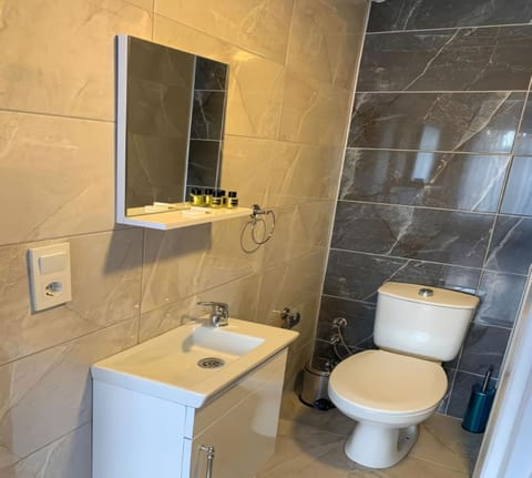 Standard Double Room | Bathroom | Shower, hair dryer, slippers, towels