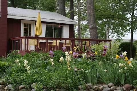 Exterior seating overlooking seasonal shrubbery and flowers.