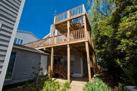 Welcome to Pelican Perch!