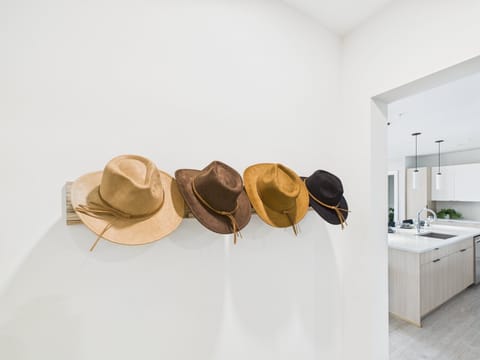 Themed Nashville decor throughout the house!