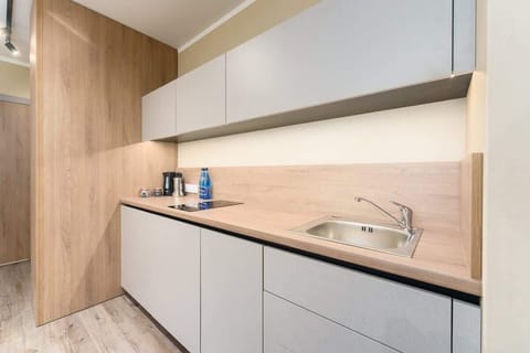 The sleek design of the kitchenette blending seamlessly with the living area.