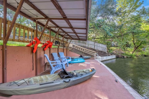 Welcome to The Bird Nest!