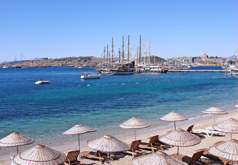 On the beach, free beach shuttle, 5 beach bars