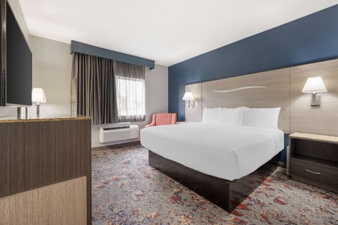 Premium bedding, desk, blackout drapes, free WiFi